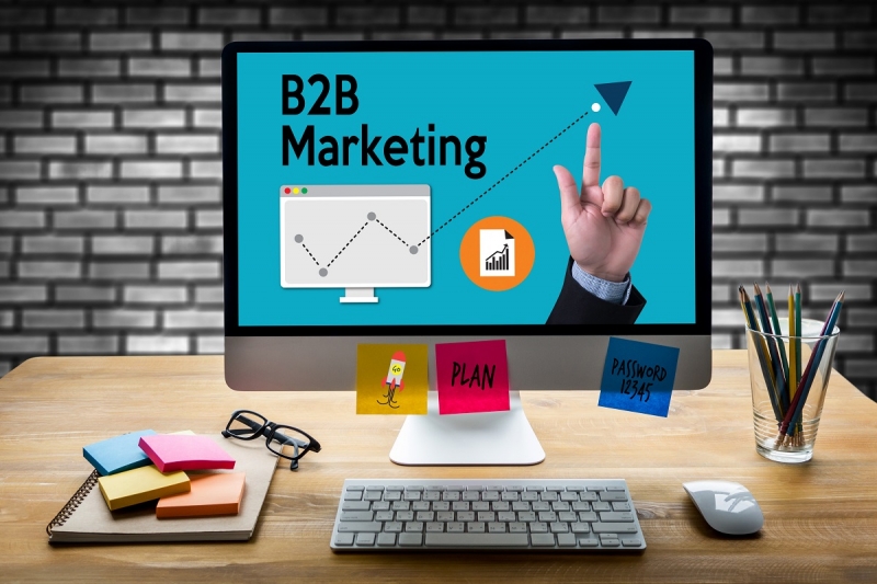 Leveraging Social Media Marketing
LinkedIn for B2B Brand Building