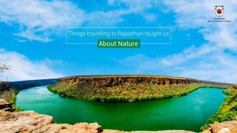 Behind the Buzz of Rajasthan Tourism's Social Media Marketing