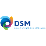 DSM